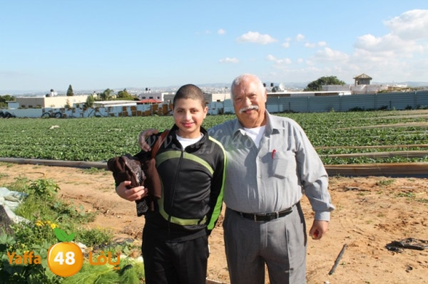 re7la tolkarem (8).JPG